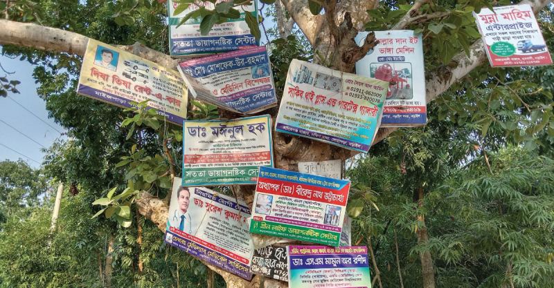 গাছে পেরেক ঠুকলে জরিমানা ২০ হাজার টাকা, অধ্যাদেশ জারি