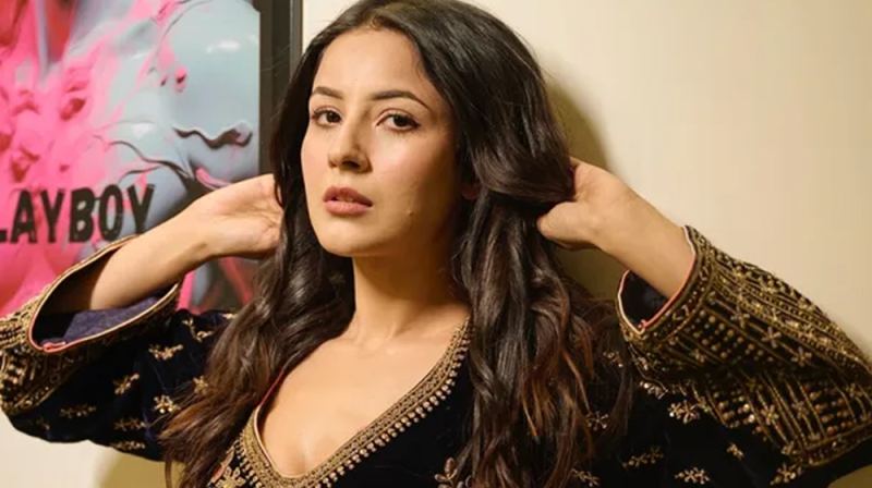 প্রেম করছেন শেহনাজ গিল