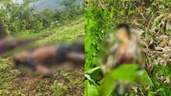 ঘুমধুম সীমান্তে মাইন বিস্ফোরণে ৩ বাংলাদেশি নিহত