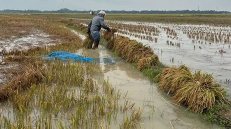 তিন জেলার হাওর সংলগ্ন নিম্নাঞ্চলে বন্যা পরিস্থিতি নিয়ে সতর্কবার্তা